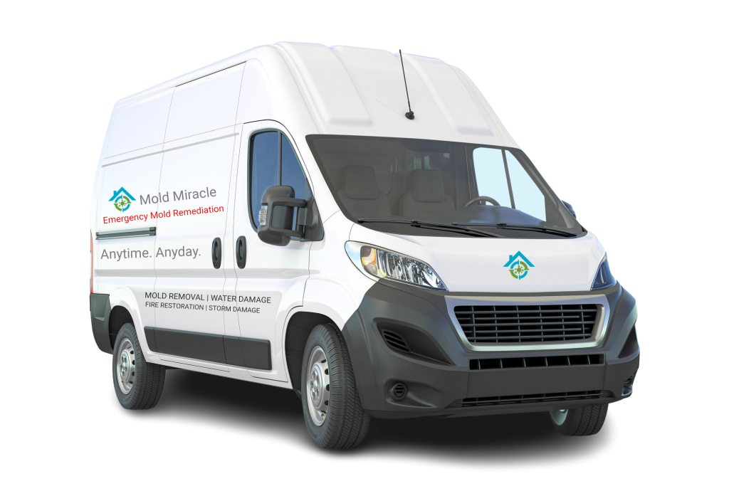 Delivery Van of Mold Removal Macon